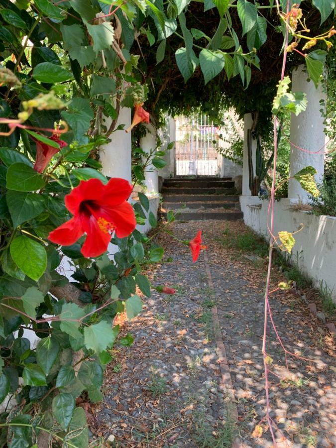 Casa Diana Arianna Lipari (Isola Lipari) Exterior foto