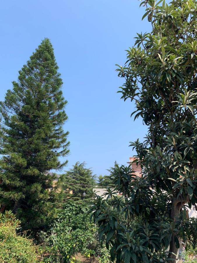 Casa Diana Arianna Lipari (Isola Lipari) Exterior foto